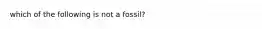 which of the following is not a fossil?