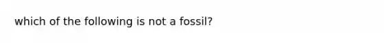 which of the following is not a fossil?