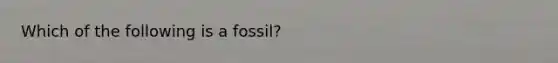 Which of the following is a fossil?