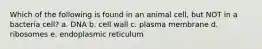 Which of the following is found in an animal cell, but NOT in a bacteria cell? a. DNA b. cell wall c. plasma membrane d. ribosomes e. endoplasmic reticulum