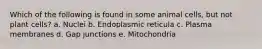Which of the following is found in some animal cells, but not plant cells? a. Nuclei b. Endoplasmic reticula c. Plasma membranes d. Gap junctions e. Mitochondria