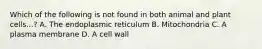 Which of the following is not found in both animal and plant cells...? A. The endoplasmic reticulum B. Mitochondria C. A plasma membrane D. A cell wall