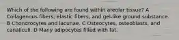 Which of the following are found within areolar tissue? A Collagenous fibers, elastic fibers, and gel-like ground substance. B Chondrocytes and lacunae. C Osteocytes, osteoblasts, and canaliculi. D Many adipocytes filled with fat.