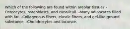 Which of the following are found within areolar tissue? -Osteocytes, osteoblasts, and canaliculi. -Many adipocytes filled with fat. -Collagenous fibers, elastic fibers, and gel-like ground substance. -Chondrocytes and lacunae.