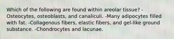 Which of the following are found within areolar tissue? -Osteocytes, osteoblasts, and canaliculi. -Many adipocytes filled with fat. -Collagenous fibers, elastic fibers, and gel-like ground substance. -Chondrocytes and lacunae.