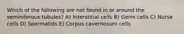 Which of the following are not found in or around the seminiferous tubules? A) Interstitial cells B) Germ cells C) Nurse cells D) Spermatids E) Corpus cavernosum cells