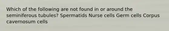 Which of the following are not found in or around the seminiferous tubules? Spermatids Nurse cells Germ cells Corpus cavernosum cells