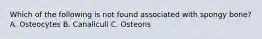 Which of the following is not found associated with spongy bone? A. Osteocytes B. Canaliculi C. Osteons