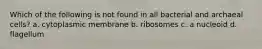 Which of the following is not found in all bacterial and archaeal cells? a. cytoplasmic membrane b. ribosomes c. a nucleoid d. flagellum