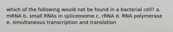 which of the following would not be found in a bacterial cell? a. mRNA b. small RNAs in spliceosome c. rRNA d. RNA polymerase e. simultaneous transcription and translation