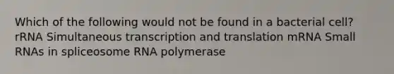 Which of the following would not be found in a bacterial cell? rRNA Simultaneous transcription and translation mRNA Small RNAs in spliceosome RNA polymerase