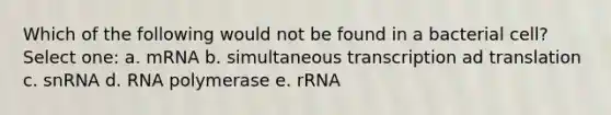 Which of the following would not be found in a bacterial cell? Select one: a. mRNA b. simultaneous transcription ad translation c. snRNA d. RNA polymerase e. rRNA