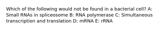 Which of the following would not be found in a bacterial cell? A: Small RNAs in spliceosome B: RNA polymerase C: Simultaneous transcription and translation D: mRNA E: rRNA