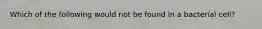 Which of the following would not be found in a bacterial cell?