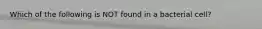 Which of the following is NOT found in a bacterial cell?