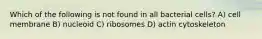 Which of the following is not found in all bacterial cells? A) cell membrane B) nucleoid C) ribosomes D) actin cytoskeleton