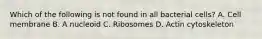 Which of the following is not found in all bacterial cells? A. Cell membrane B. A nucleoid C. Ribosomes D. Actin cytoskeleton