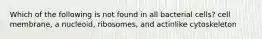 Which of the following is not found in all bacterial cells? cell membrane, a nucleoid, ribosomes, and actinlike cytoskeleton