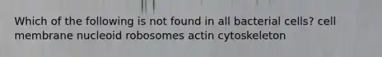 Which of the following is not found in all bacterial cells? cell membrane nucleoid robosomes actin cytoskeleton