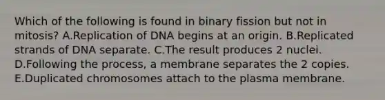 Which of the following is found in binary fission but not in mitosis? A.Replication of DNA begins at an origin. B.Replicated strands of DNA separate. C.The result produces 2 nuclei. D.Following the process, a membrane separates the 2 copies. E.Duplicated chromosomes attach to the plasma membrane.