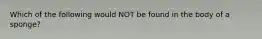 Which of the following would NOT be found in the body of a sponge?
