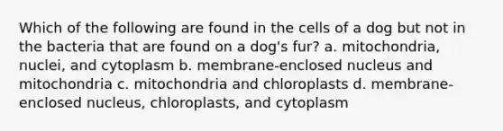 Which of the following are found in the cells of a dog but not in the bacteria that are found on a dog's fur? a. mitochondria, nuclei, and cytoplasm b. membrane-enclosed nucleus and mitochondria c. mitochondria and chloroplasts d. membrane-enclosed nucleus, chloroplasts, and cytoplasm