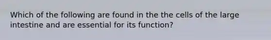 Which of the following are found in the the cells of the large intestine and are essential for its function?