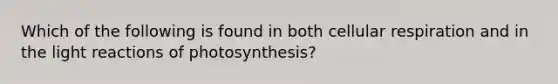 Which of the following is found in both cellular respiration and in the light reactions of photosynthesis?