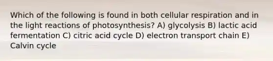 Which of the following is found in both cellular respiration and in the light reactions of photosynthesis? A) glycolysis B) lactic acid fermentation C) citric acid cycle D) electron transport chain E) Calvin cycle