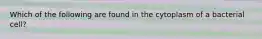 Which of the following are found in the cytoplasm of a bacterial cell?