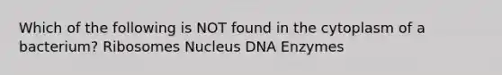 Which of the following is NOT found in the cytoplasm of a bacterium? Ribosomes Nucleus DNA Enzymes