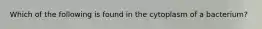 Which of the following is found in the cytoplasm of a bacterium?