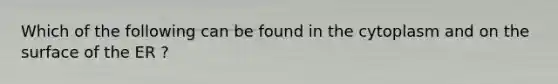 Which of the following can be found in the cytoplasm and on the surface of the ER ?
