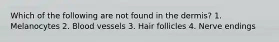 Which of the following are not found in the dermis? 1. Melanocytes 2. Blood vessels 3. Hair follicles 4. Nerve endings