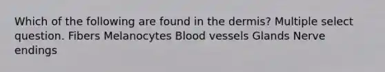 Which of the following are found in the dermis? Multiple select question. Fibers Melanocytes Blood vessels Glands Nerve endings