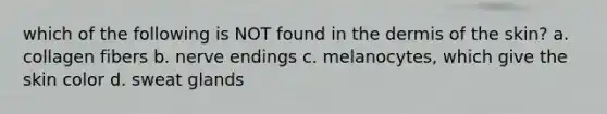 which of the following is NOT found in the dermis of the skin? a. collagen fibers b. nerve endings c. melanocytes, which give the skin color d. sweat glands