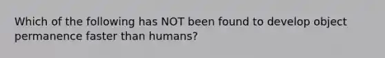 Which of the following has NOT been found to develop object permanence faster than humans?