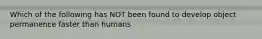 Which of the following has NOT been found to develop object permanence faster than humans