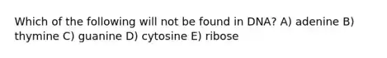 Which of the following will not be found in DNA? A) adenine B) thymine C) guanine D) cytosine E) ribose