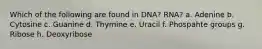 Which of the following are found in DNA? RNA? a. Adenine b. Cytosine c. Guanine d. Thymine e. Uracil f. Phospahte groups g. Ribose h. Deoxyribose