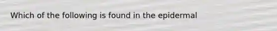 Which of the following is found in the epidermal