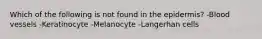 Which of the following is not found in the epidermis? -Blood vessels -Keratinocyte -Melanocyte -Langerhan cells