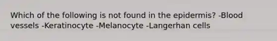 Which of the following is not found in the epidermis? -Blood vessels -Keratinocyte -Melanocyte -Langerhan cells