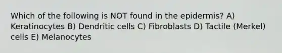 Which of the following is NOT found in the epidermis? A) Keratinocytes B) Dendritic cells C) Fibroblasts D) Tactile (Merkel) cells E) Melanocytes