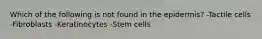 Which of the following is not found in the epidermis? -Tactile cells -Fibroblasts -Keratinocytes -Stem cells