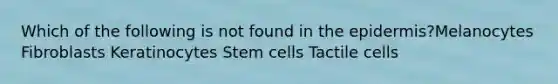 Which of the following is not found in the epidermis?Melanocytes Fibroblasts Keratinocytes Stem cells Tactile cells