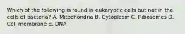 Which of the following is found in eukaryotic cells but not in the cells of bacteria? A. Mitochondria B. Cytoplasm C. Ribosomes D. Cell membrane E. DNA