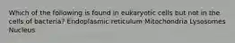 Which of the following is found in eukaryotic cells but not in the cells of bacteria? Endoplasmic reticulum Mitochondria Lysosomes Nucleus