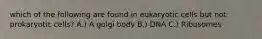 which of the following are found in eukaryotic cells but not prokaryotic cells? A.) A golgi body B.) DNA C.) Ribosomes