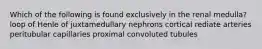 Which of the following is found exclusively in the renal medulla? loop of Henle of juxtamedullary nephrons cortical rediate arteries peritubular capillaries proximal convoluted tubules